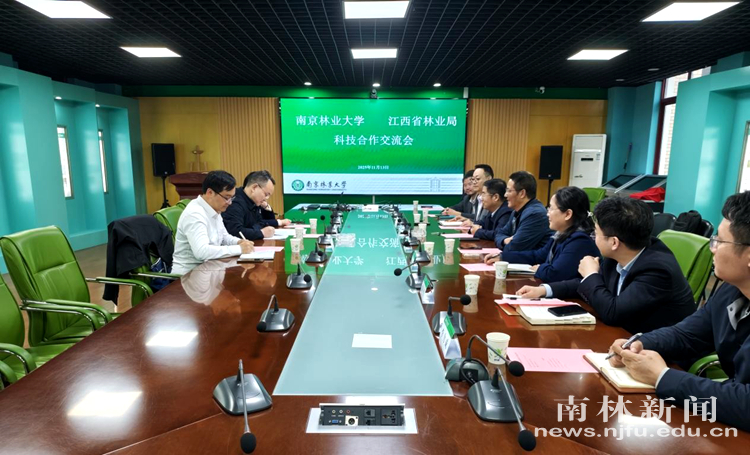 202511141510203075nkx8i